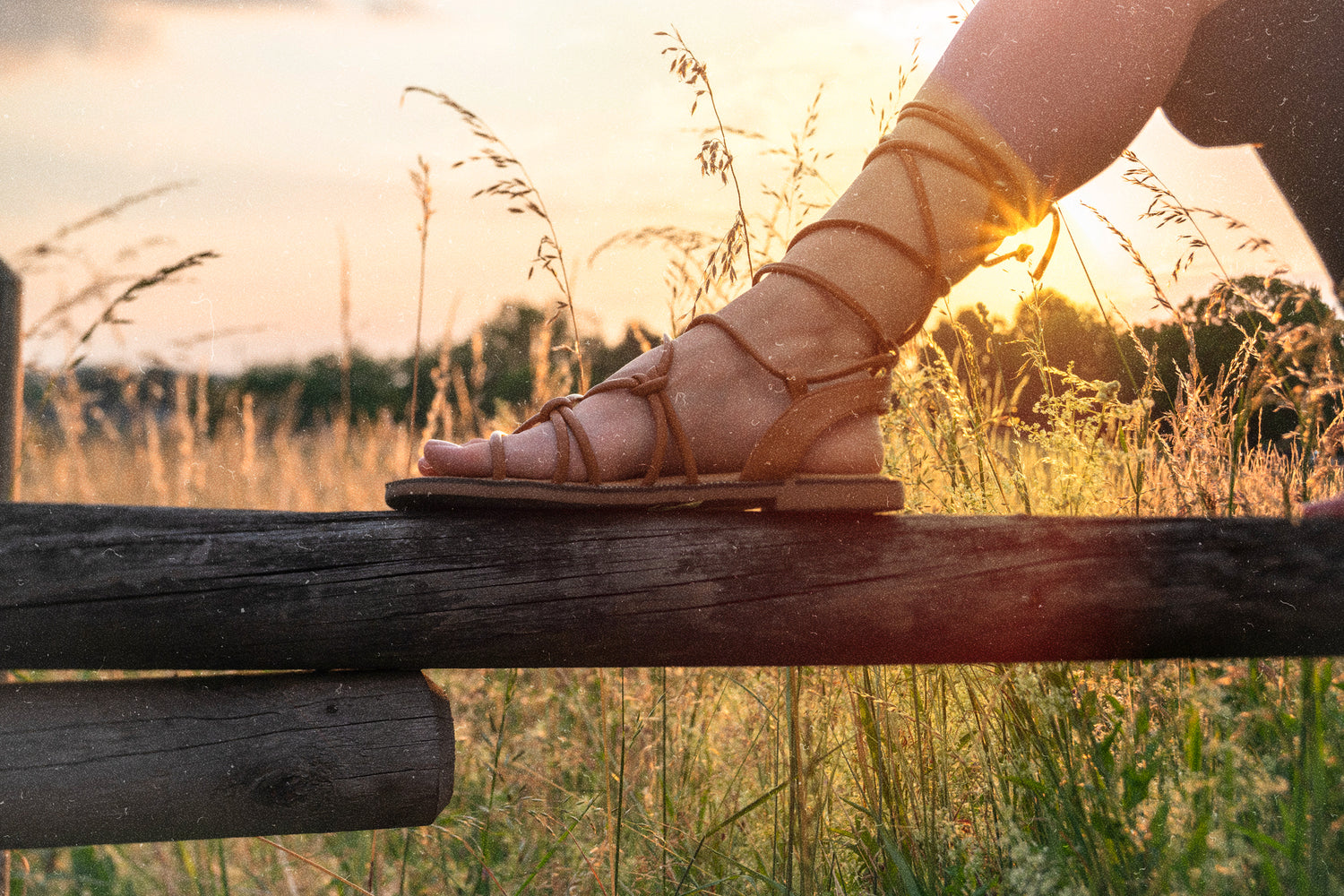 Gladiator Sandals